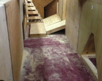 photo-3_0