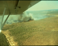 fire-from-p-18