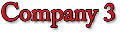 Company 3
