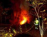 dsc_0812