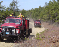brushfiredrill028